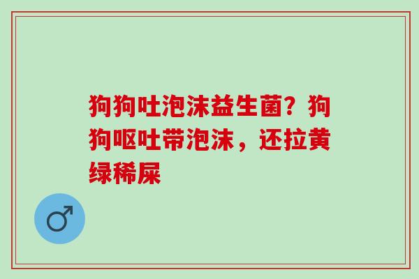 狗狗吐泡沫益生菌？狗狗呕吐带泡沫，还拉黄绿稀屎