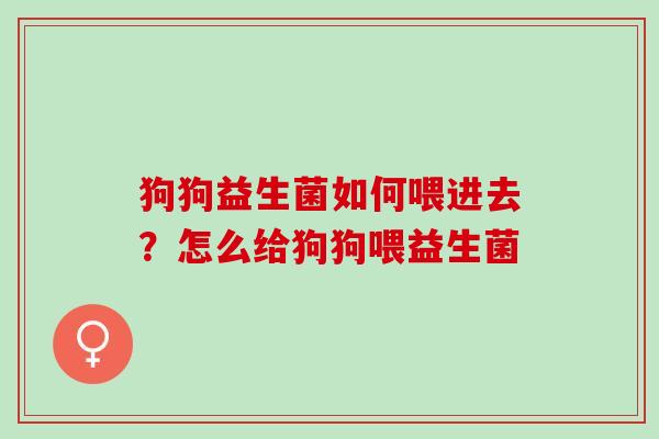 狗狗益生菌如何喂进去？怎么给狗狗喂益生菌