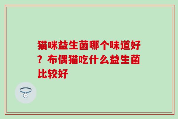 猫咪益生菌哪个味道好?布偶猫吃什么益生菌比较好 猫咪益生菌哪个味道好?布偶猫吃什么益生菌比较好
