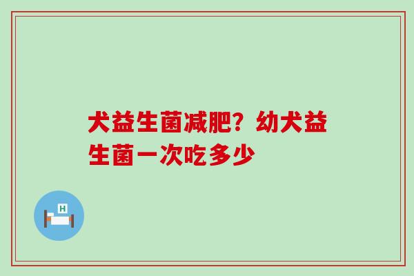 犬益生菌减肥？幼犬益生菌一次吃多少