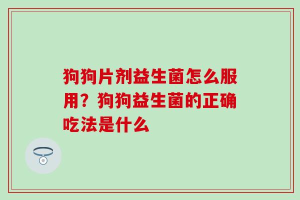 狗狗片剂益生菌怎么服用？狗狗益生菌的正确吃法是什么