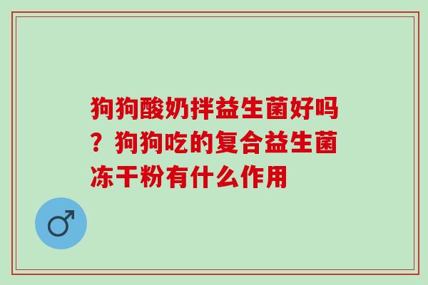 狗狗酸奶拌益生菌好吗？狗狗吃的复合益生菌冻干粉有什么作用