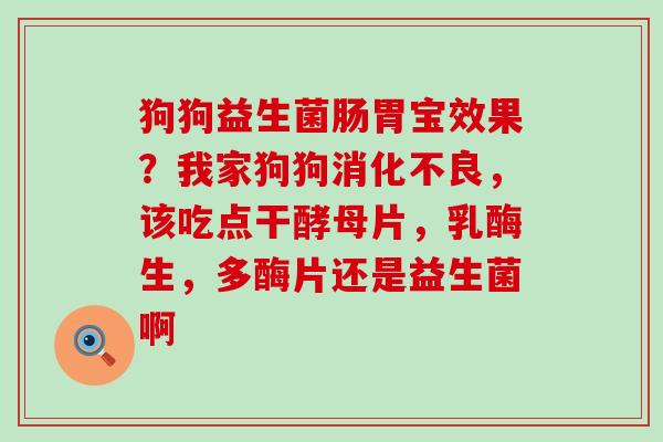 狗狗益生菌肠胃宝效果?我家狗狗,该吃点干酵母片,乳酶生,多酶片还是益生菌啊 狗狗益生菌肠胃宝效果?我家狗狗,该吃点干酵母片,乳酶生,多酶片还是益生菌啊