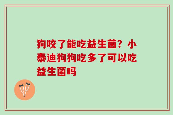 狗咬了能吃益生菌？小泰迪狗狗吃多了可以吃益生菌吗