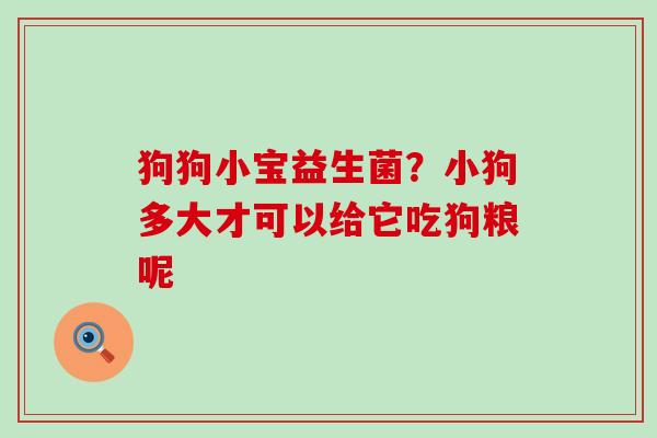 狗狗小宝益生菌？小狗多大才可以给它吃狗粮呢