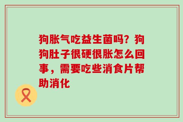 狗胀气吃益生菌吗？狗狗肚子很硬很胀怎么回事，需要吃些消食片帮助消化