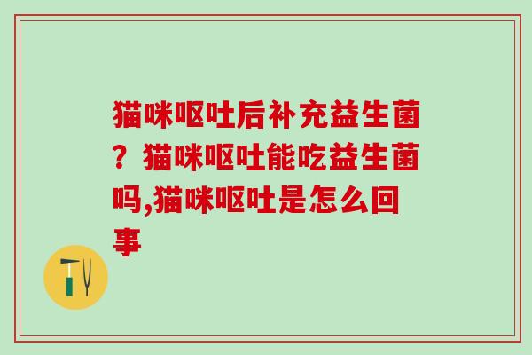猫咪后补充益生菌?猫咪能吃益生菌吗,猫咪是怎么回事 猫咪后补充益生菌?猫咪能吃益生菌吗,猫咪是怎么回事