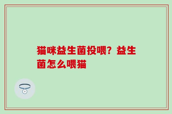 猫咪益生菌投喂？益生菌怎么喂猫