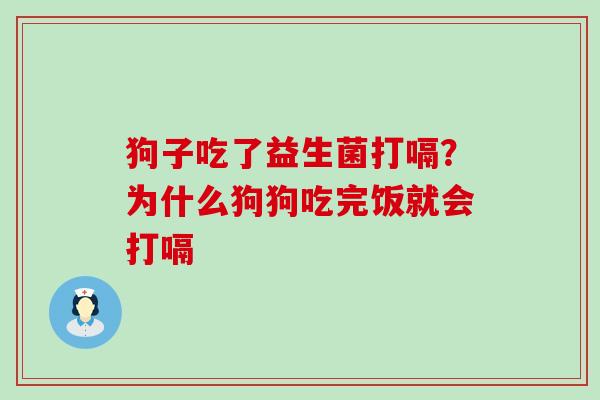 狗子吃了益生菌打嗝？为什么狗狗吃完饭就会打嗝