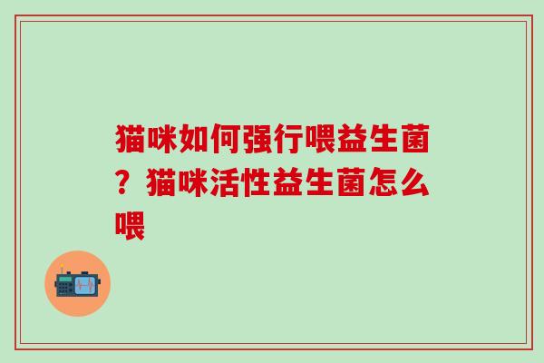 猫咪如何强行喂益生菌？猫咪活性益生菌怎么喂