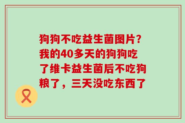 狗狗不吃益生菌图片？我的40多天的狗狗吃了维卡益生菌后不吃狗粮了，三天没吃东西了