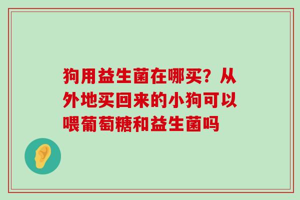 狗用益生菌在哪买？从外地买回来的小狗可以喂葡萄糖和益生菌吗