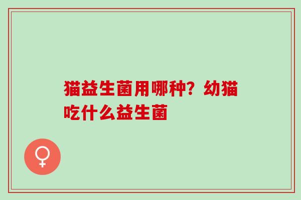 猫益生菌用哪种？幼猫吃什么益生菌