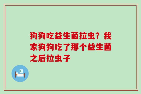 狗狗吃益生菌拉虫?我家狗狗吃了那个益生菌之后拉虫子 狗狗吃益生菌拉虫?我家狗狗吃了那个益生菌之后拉虫子