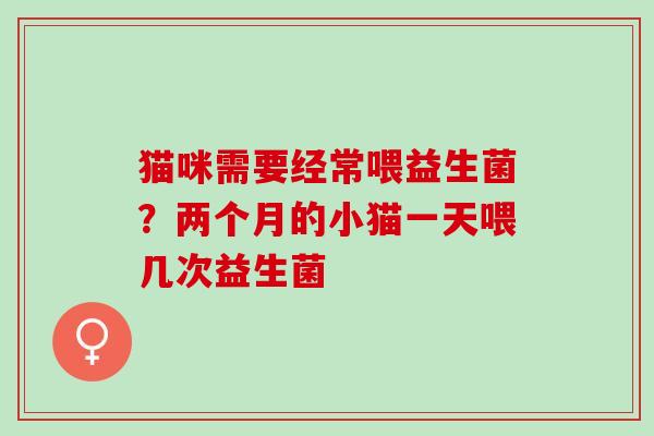 猫咪需要经常喂益生菌？两个月的小猫一天喂几次益生菌