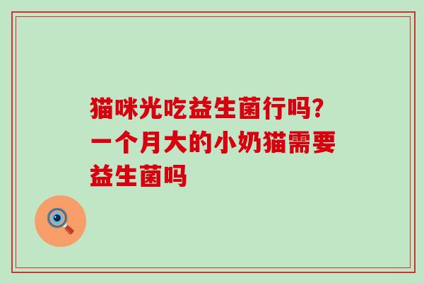 猫咪光吃益生菌行吗？一个月大的小奶猫需要益生菌吗