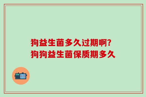 狗益生菌多久过期啊?狗狗益生菌保质期多久 狗益生菌多久过期啊?狗狗益生菌保质期多久