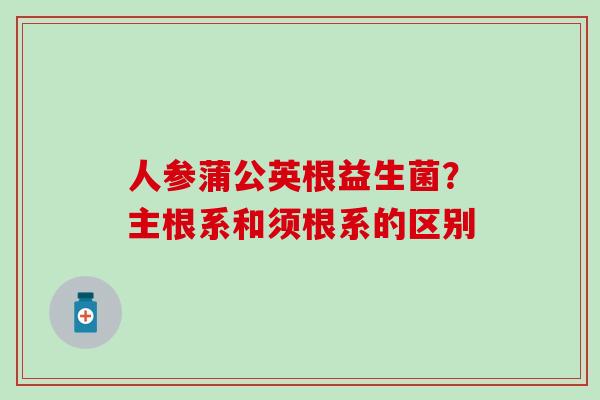 人参蒲公英根益生菌?主根系和须根系的区别 人参蒲公英根益生菌?主根系和须根系的区别