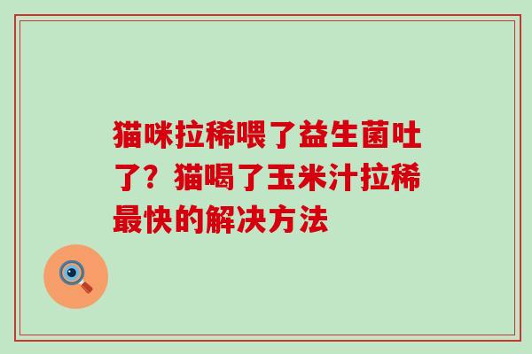 猫咪拉稀喂了益生菌吐了？猫喝了玉米汁拉稀最快的解决方法