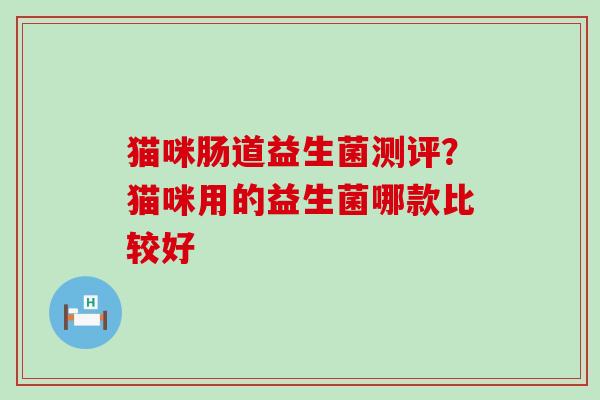 猫咪肠道益生菌测评？猫咪用的益生菌哪款比较好