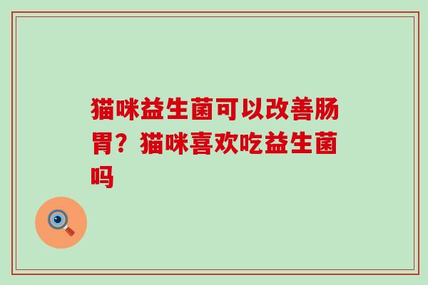 猫咪益生菌可以改善肠胃？猫咪喜欢吃益生菌吗