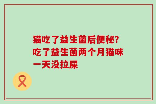 猫吃了益生菌后便秘？吃了益生菌两个月猫咪一天没拉屎