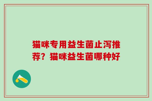 猫咪专用益生菌止泻推荐？猫咪益生菌哪种好