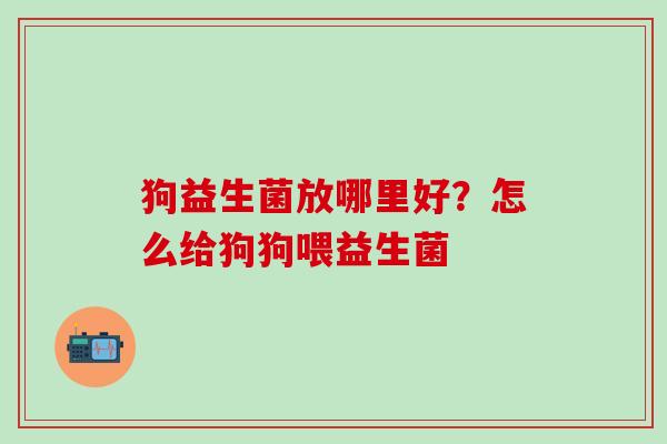 狗益生菌放哪里好？怎么给狗狗喂益生菌