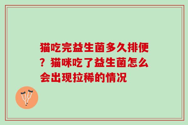 猫吃完益生菌多久排便？猫咪吃了益生菌怎么会出现拉稀的情况