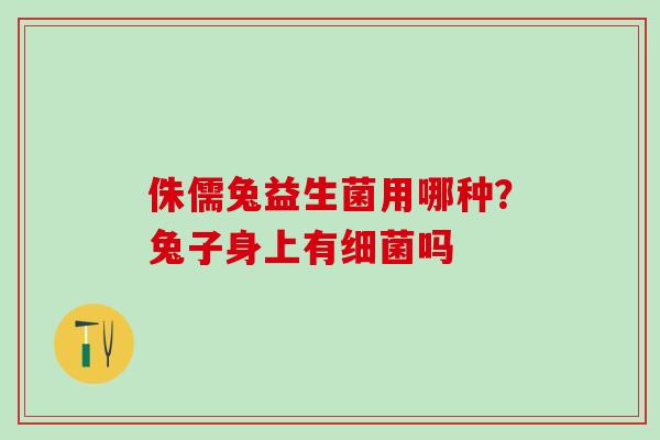 侏儒兔益生菌用哪种？兔子身上有吗