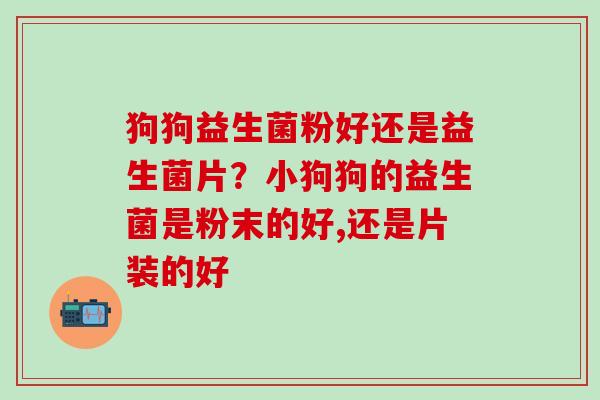 狗狗益生菌粉好还是益生菌片？小狗狗的益生菌是粉末的好,还是片装的好