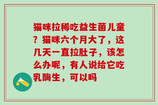 猫咪拉稀吃益生菌儿童?猫咪六个月大了,这几天一直拉肚子,该怎么办呢,有人说给它吃乳酶生,可以吗 猫咪拉稀吃益生菌儿童?猫咪六个月大了,这几天一直拉肚子,该怎么办呢,有人说给它吃乳酶生,可以吗