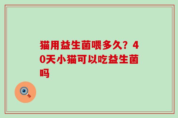 猫用益生菌喂多久？40天小猫可以吃益生菌吗