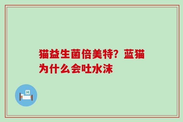 猫益生菌倍美特？蓝猫为什么会吐水沫