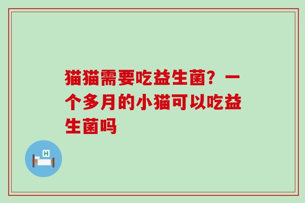 猫猫需要吃益生菌？一个多月的小猫可以吃益生菌吗