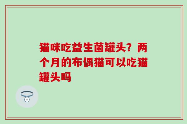 猫咪吃益生菌罐头？两个月的布偶猫可以吃猫罐头吗