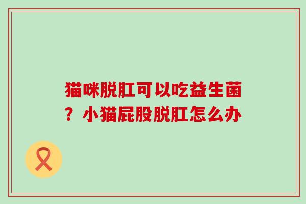 猫咪脱肛可以吃益生菌？小猫屁股脱肛怎么办