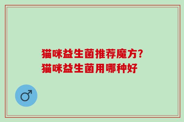 猫咪益生菌推荐魔方？猫咪益生菌用哪种好