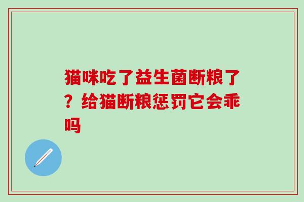 猫咪吃了益生菌断粮了？给猫断粮惩罚它会乖吗