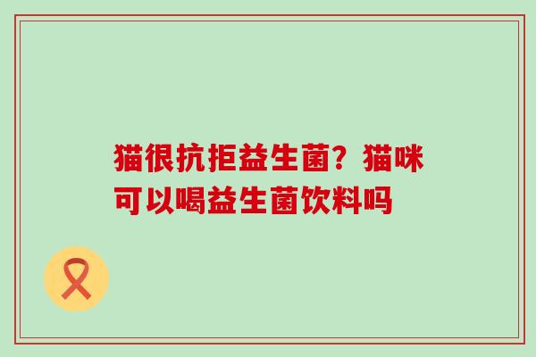 猫很抗拒益生菌？猫咪可以喝益生菌饮料吗
