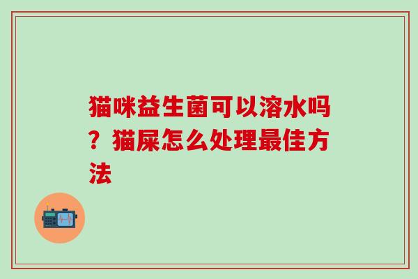 猫咪益生菌可以溶水吗？猫屎怎么处理佳方法