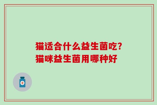 猫适合什么益生菌吃？猫咪益生菌用哪种好
