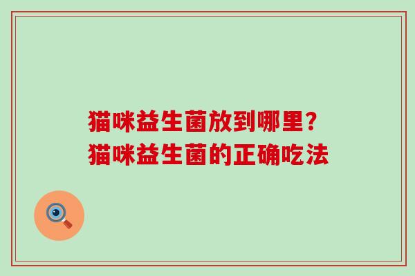 猫咪益生菌放到哪里？猫咪益生菌的正确吃法
