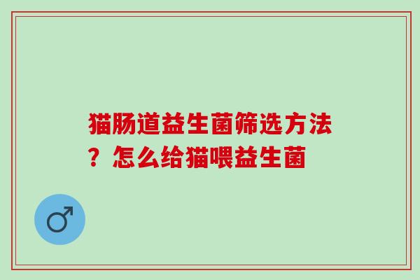 猫肠道益生菌筛选方法？怎么给猫喂益生菌