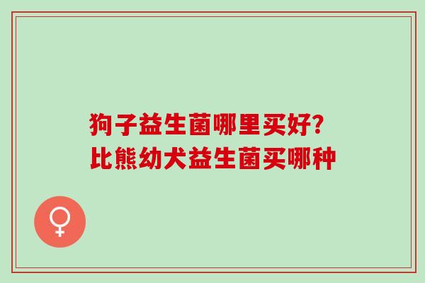 狗子益生菌哪里买好？比熊幼犬益生菌买哪种