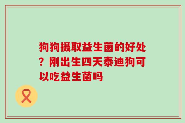 狗狗摄取益生菌的好处？刚出生四天泰迪狗可以吃益生菌吗