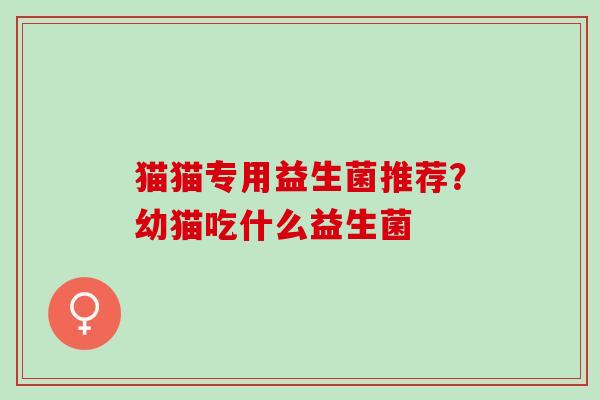 猫猫专用益生菌推荐？幼猫吃什么益生菌