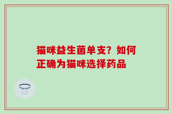 猫咪益生菌单支？如何正确为猫咪选择药品