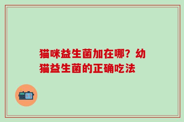 猫咪益生菌加在哪？幼猫益生菌的正确吃法