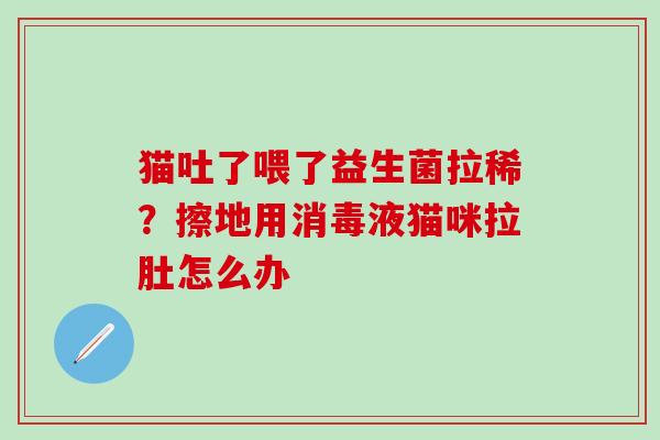 猫吐了喂了益生菌拉稀？擦地用消毒液猫咪拉肚怎么办